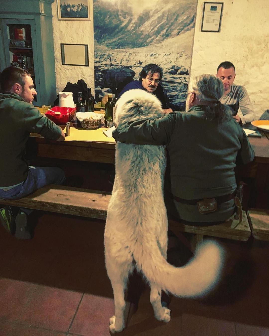 Centro Trekking A Cavallo Monte Brugiana Pensionat Massa  Eksteriør billede