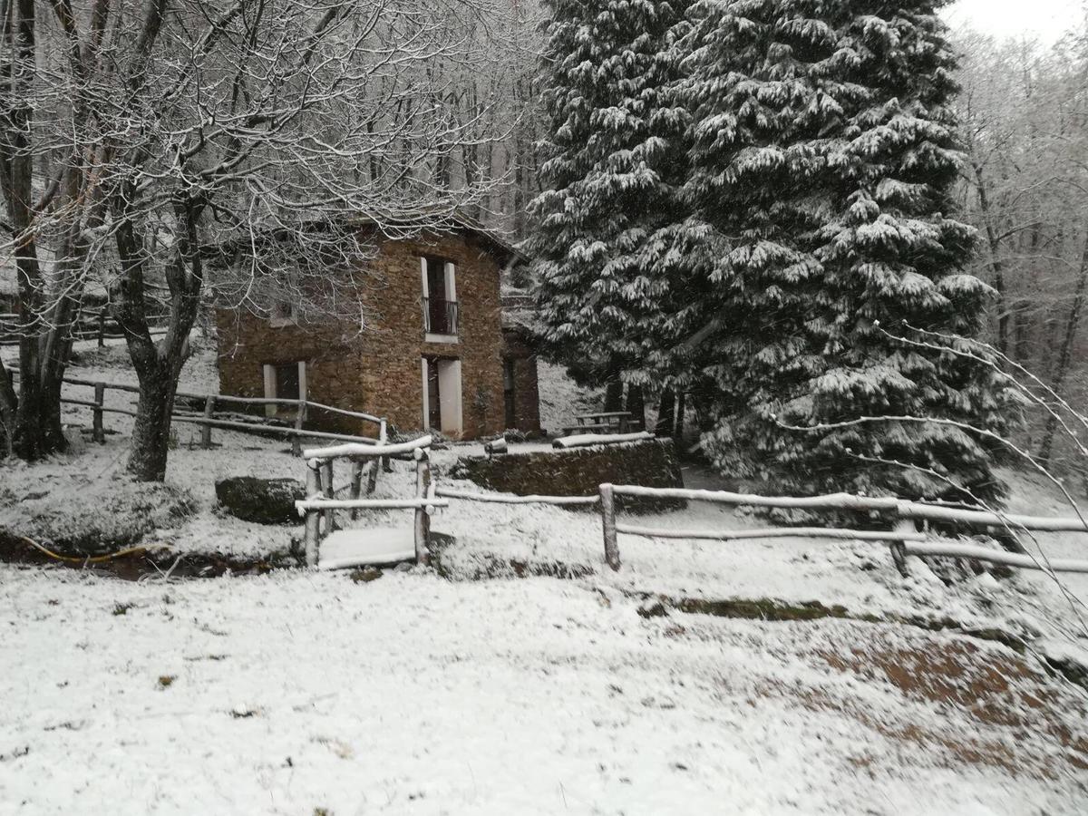 Centro Trekking A Cavallo Monte Brugiana Pensionat Massa  Eksteriør billede